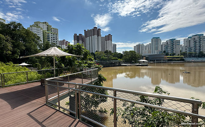 Lookout decks