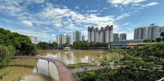 Pang Sua Pond: Floating Wetlands & Boardwalks