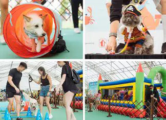 Pawsome Garden Party At Northshore Plaza