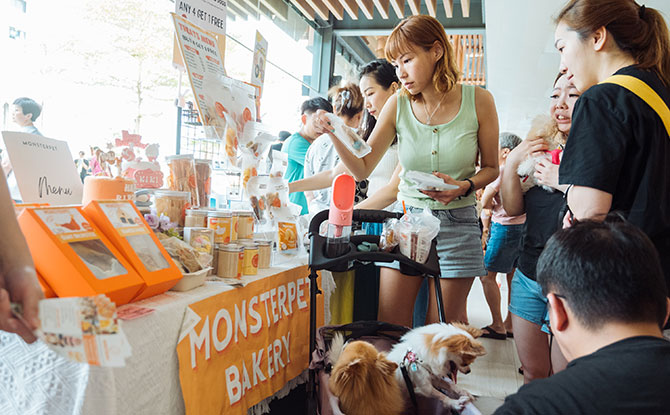 Shop at Over 30 Pet Booths at Northshore Plaza Pawsome Garden Party