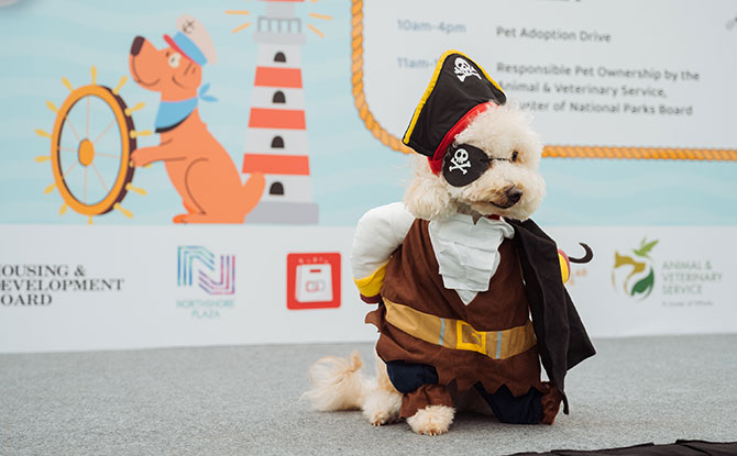 Best-Dressed & Best Pet Trick Contests: Over $2,000 worth of Prizes to Be Won