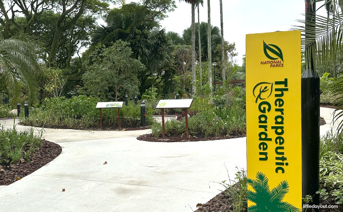 Therapeutic Garden at Punggol Park 