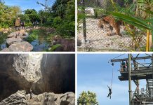 Guide To Rainforest Wild Asia: Experience Adventure Across 8 Zones at Mandai’s New Wildlife Park