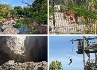 Guide To Rainforest Wild Asia: Experience Adventure Across 8 Zones at Mandai’s New Wildlife Park