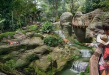 Rainforest Wild Asia, New Wildlife Park, To Open In March 2025