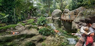 Rainforest Wild Asia, New Wildlife Park, To Open In March 2025