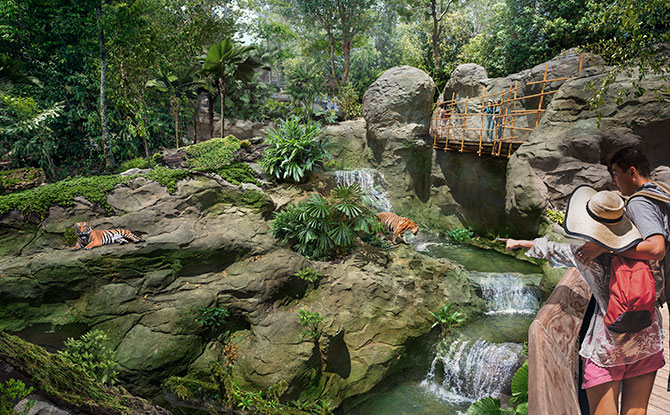 Rainforest Wild Asia, New Wildlife Park, To Open In March 2025