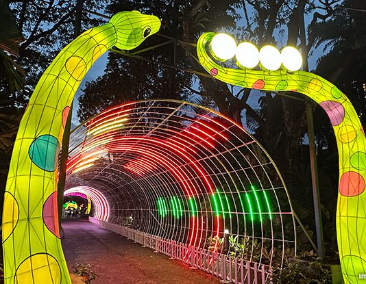 Things To Do This Weekend In Singapore: 31 January To 2 February 2025