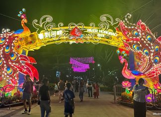 9 River Hongbao 2025 Highlights: Usher In The Year Of The Snake At Gardens By The Bay