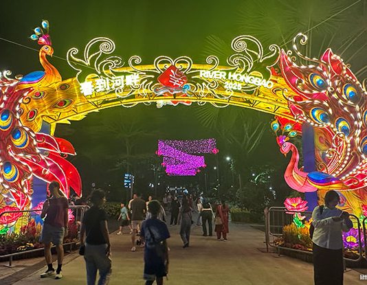 9 River Hongbao 2025 Highlights: Usher In The Year Of The Snake At Gardens By The Bay