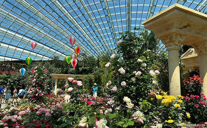 Rose Romance 2024: The Beauty of Türkiye's Wonders at the Flower Dome