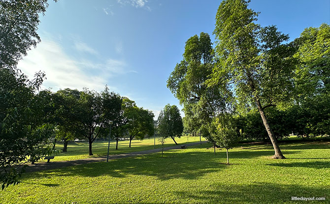 Enjoying Sembawang Park