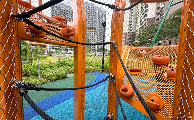 Inside the banyan tree playground