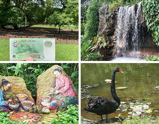 A Guide to Singapore Botanic Gardens: Things To See & Do At The UNESCO World Heritage Site & More