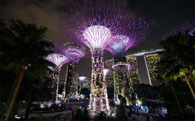 singapore gardens by the bay at night