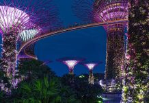50+ Interesting Facts About Singapore For Kids