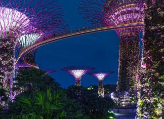 50+ Interesting Facts About Singapore For Kids