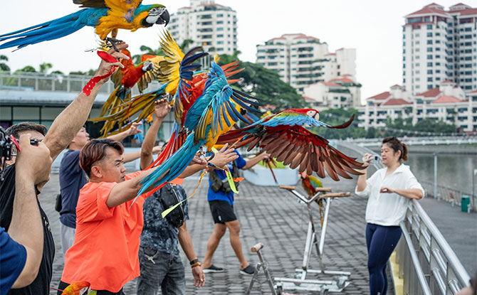 Majulah Fiesta Pets Play Day: Sensory Experience with Feathered Friends