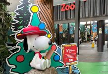 Join Snoopy And The Beagle Scouts For A Mission At Festive Wild-erland, Singapore Zoo & Bird Paradise