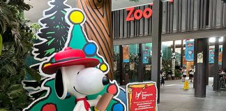 Join Snoopy And The Beagle Scouts For A Mission At Festive Wild-erland, Singapore Zoo & Bird Paradise