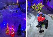 Snow City: Winter Wonderland Encounters In Singapore