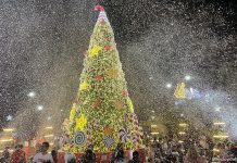 Snow Splendours at Tanglin Mall