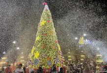 Snow Splendours at Tanglin Mall