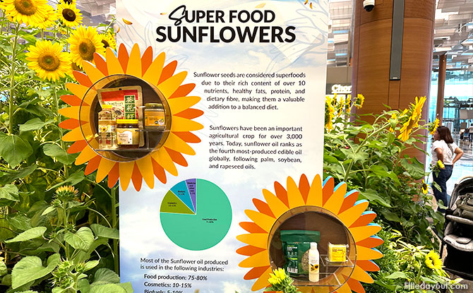 Sunflowers at Changi Airport