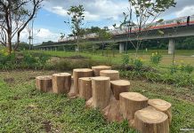 Tampines Boulevard Park (East) Opens: Nature Playgarden, Dog Run, Hilly Slopes & More