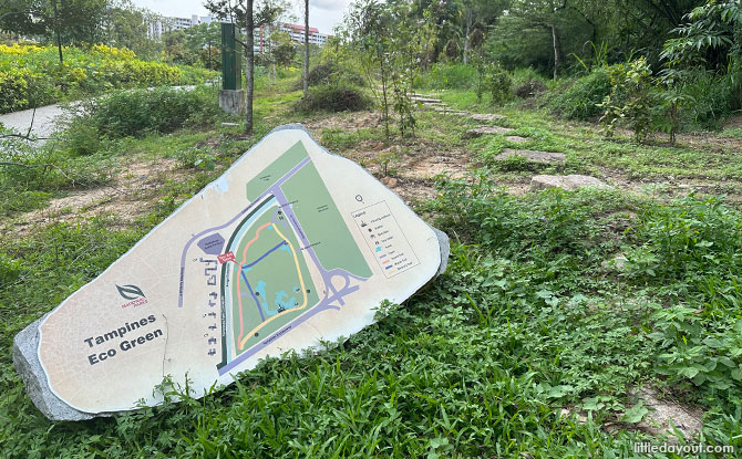 Tampines Eco Green: Back-To-Nature