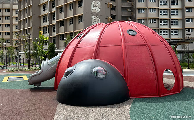 Ladybug Playground