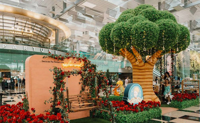 Rose Garden and Other The Little Prince Photo Spots at Changi Airport