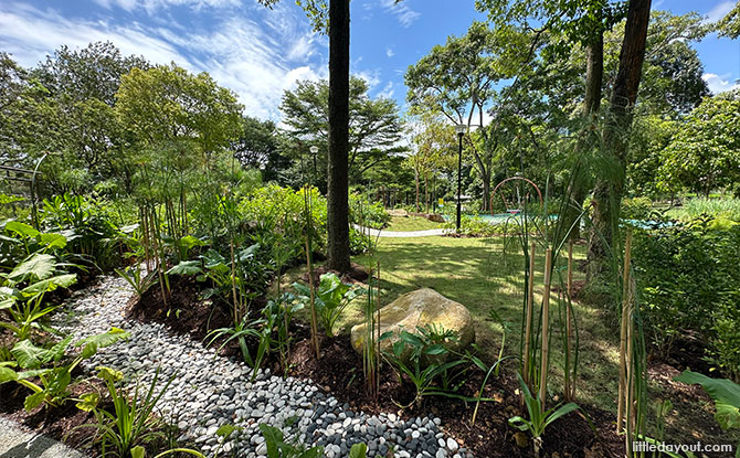 A Look at the West Coast Park Therapeutic Garden