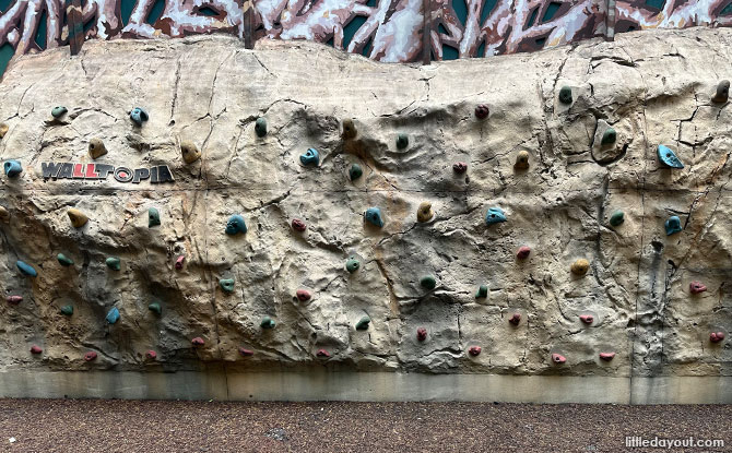 rock climbing wall