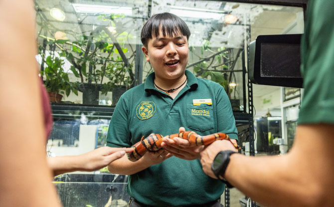 Year of the Snake: Celebrate Chinese New Year 2025 at Singapore Zoo and Other Wildlife Parks