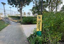 Yishun Pond Park Therapeutic Garden: Exercise Mound & Lawn Area