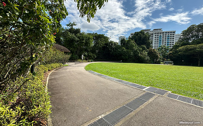 Open green at Zhenghua Park