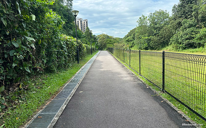 Trail Along the Bukit Timah Expressway